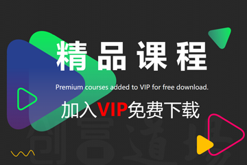欧洲商学院MBA——企业全球化战略(xl)