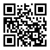 【新华信】-著名咨询公司案例