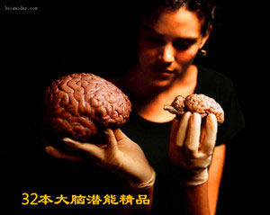 32部大脑潜能开发书籍超级记忆力大全PDF版