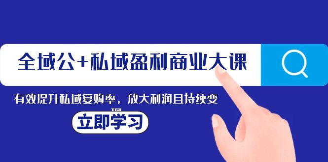 全域公+私域盈利商业大课，有效提升私域复购率，放大利润且持续变现