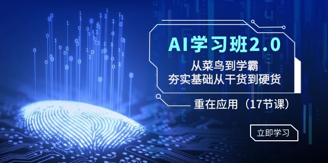 AI学习班2.0:从菜鸟到学霸,夯实基础从干货到硬货,重在应用(17节课)