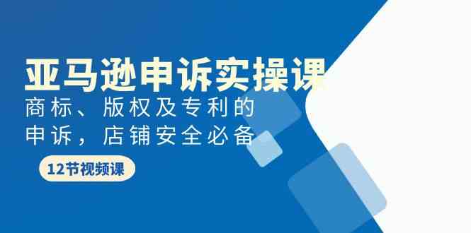 亚马逊申诉实战课,商标、版权及专利的申诉,店铺安全必备