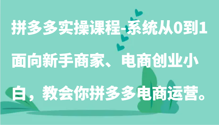 拼多多实操课程-系统从0到1,面向新手商家、电商创业小白,教会你拼多多电商运营。