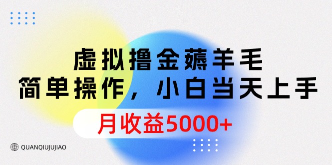 虚拟撸金薅羊毛,简单操作,小白当天上手,月收益5000+