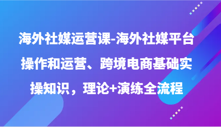 海外社媒运营课-海外社媒平台操作和运营、跨境电商基础实操知识,理论+演练全流程