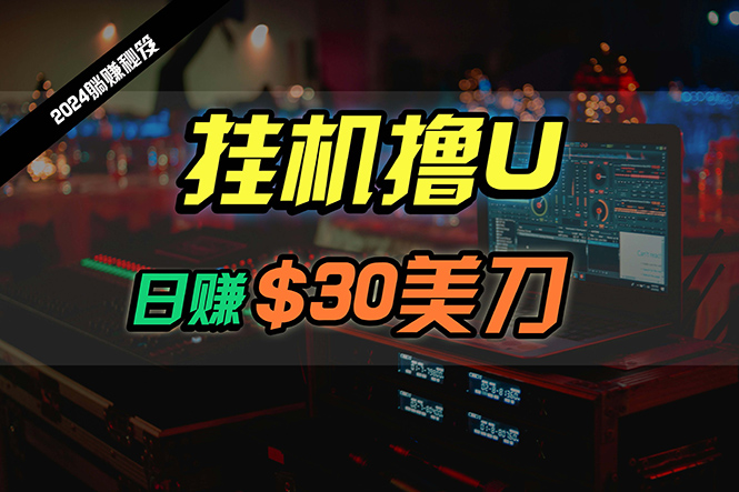 日赚30美刀,2024最新海外挂机撸U内部项目,全程无人值守,可批量放大