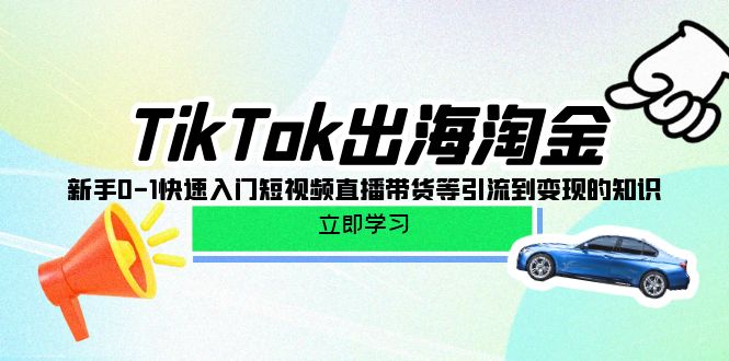 TikTok-出海淘金,新手0-1快速入门短视频直播带货等引流到变现的知识