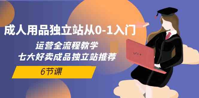 成人用品独立站从0-1入门,运营全流程教学,七大好卖成品独立站推荐(6节课)