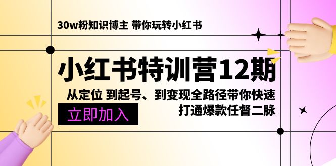小红书特训营12期:从定位 到起号、到变现全路径带你快速打通爆款任督二脉
