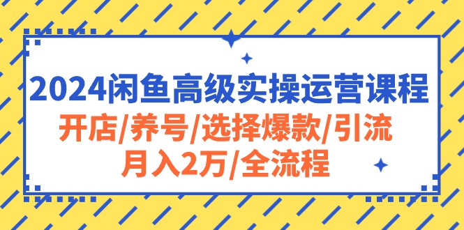 2024闲鱼高级实操运营课程:开店/养号/选择爆款/引流/月入2万/全流程