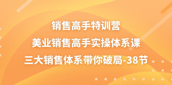 销售高手特训营,美业销售高手实操体系课,三大销售体系带你破局(38节)