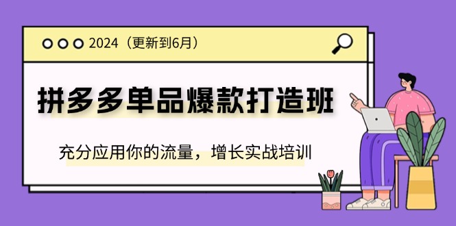 2024拼多多单品爆款打造班,充分应用你的流量,增长实战培训(更新6月)