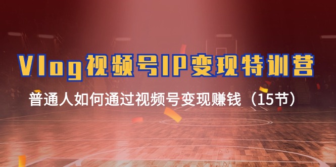 Vlog视频号IP变现特训营,普通人如何通过视频号变现赚钱(15节)