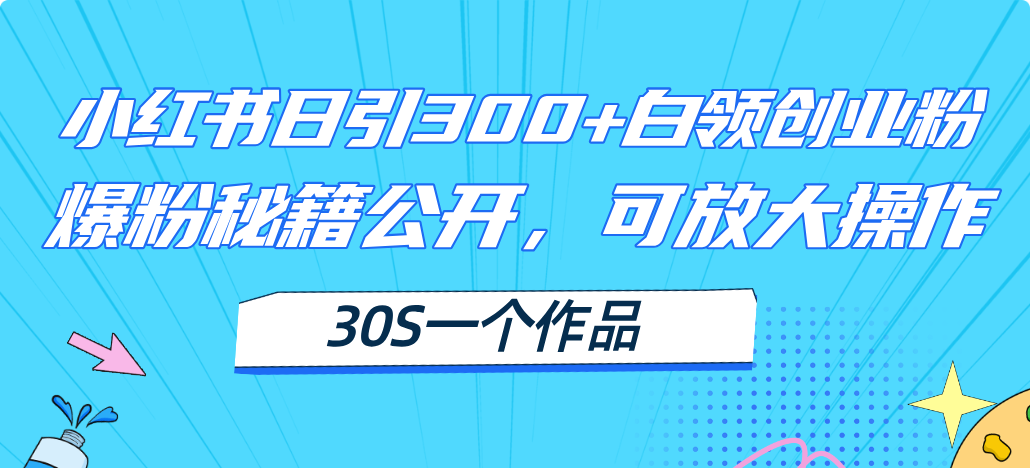 小红书日引300+高质白领创业粉,可放大操作,爆粉秘籍!30s一个作品