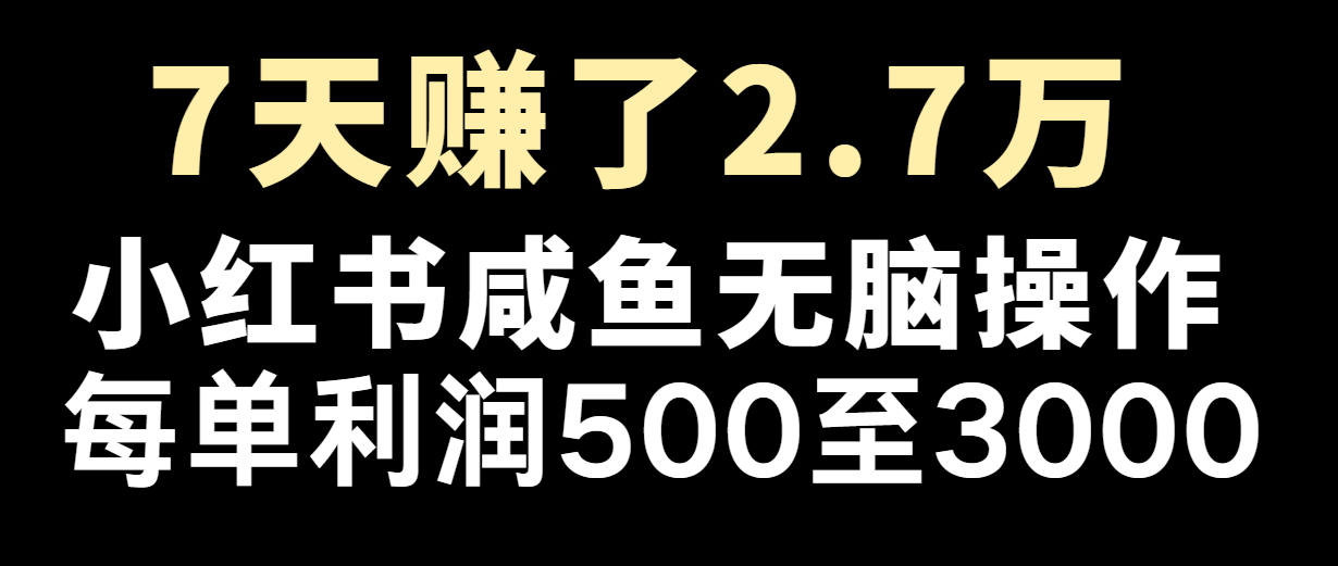 七天赚了2.7万!每单利润最少500+,轻松月入5万+小白有手就行