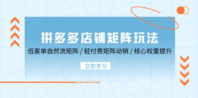 拼多多店铺矩阵玩法:低客单自然流矩阵 / 轻付费矩阵 动销 / 核心权重提升