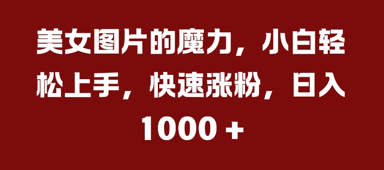 美女图片的魔力,小白轻松上手,快速涨粉,日入几张