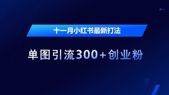 十一月小红书最新打法,单图引流300+创业粉