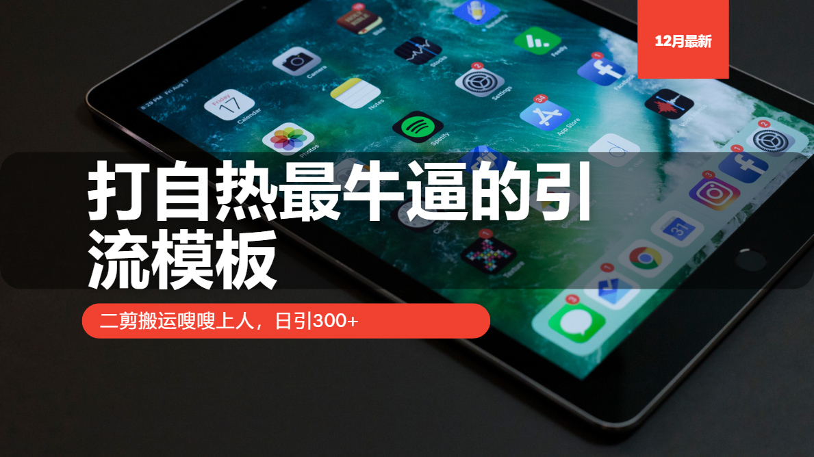 打自热最牛逼的引流模板,二剪搬运嗖嗖上人,日引300+