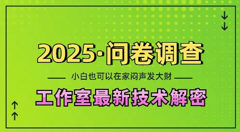 2025问卷调查最新工作室技术解密:一个人在家也可以闷声发大财,小白一天2张,可矩阵放大