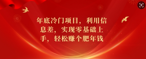 年底冷门项目,利用信息差,实现零基础上手,轻松赚个肥年钱