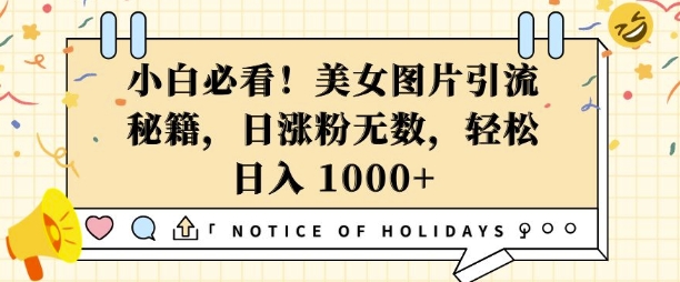 小白必看,美女图片引流秘籍,日涨粉无数,轻松日入几张