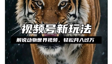 利用动物世界解说视频,赚分成计划收益,轻松月入过W,操作简单