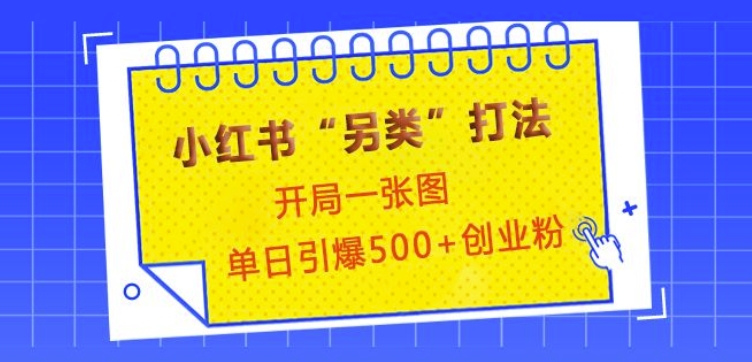 小红书“另类”打法,开局一张图,单日引爆500+精准创业粉