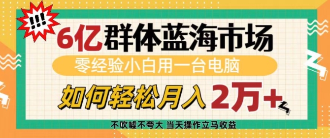 6亿群体蓝海市场,零经验小白用一台电脑,如何轻松月入过w