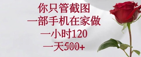 你只管截图,一部手机在家做,一小时120.一天5张