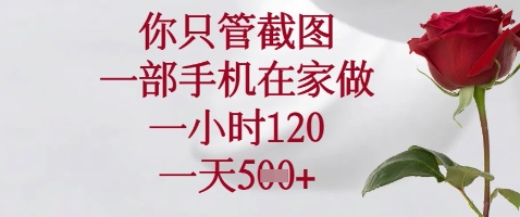 你只管截图,一部手机在家做,苹果安卓都可以,一小时120,一天5张+