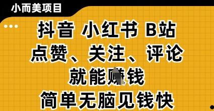 小而美的项目,抖音小红书B站视频点赞、关注、评论就能挣钱,简单无脑立见收益,妥妥的零撸项目