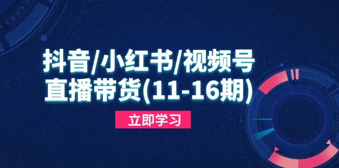 抖音/小红书/视频号/直播带货,快速掌握平台规则,打造爆款内容