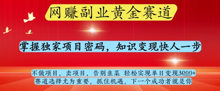 网创副业黄全赛道,掌握独家项目密码,知识变现快人一步,告别韭菜轻松实现单日变现1k+
