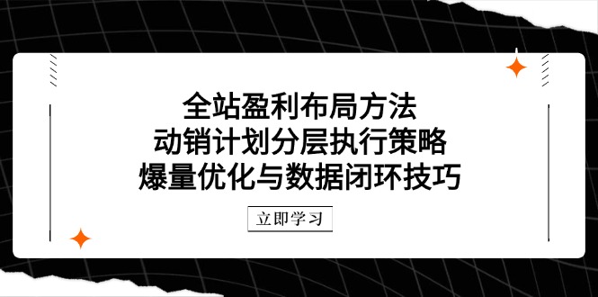 全站盈利布局方法：动销计划分层执行策略，爆量优化与数据闭环技巧