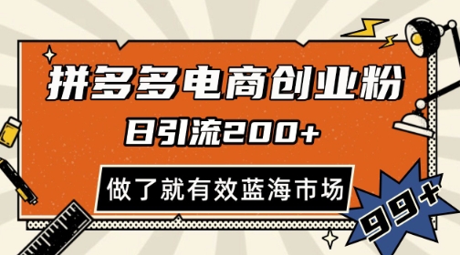 拼多多引流电商创业粉,日引200+,可矩阵放大,做了就有效