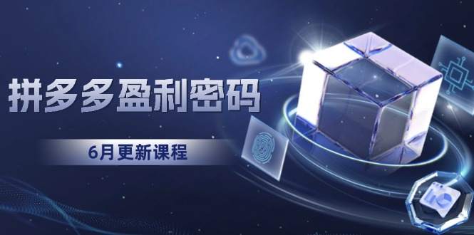 拼多多盈利密码:从烧钱推广到印钞模型,底层逻辑重构指南(6月更新)