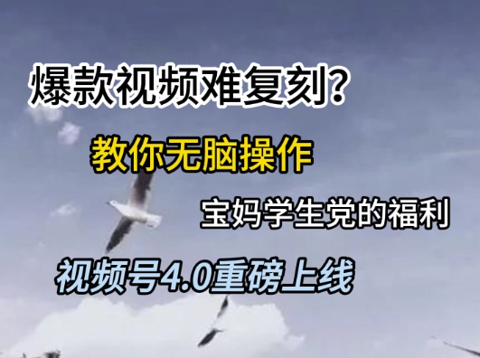 视频号4.0重磅上线,爆款视频难复刻?教你无脑操作宝妈学生党的福利
