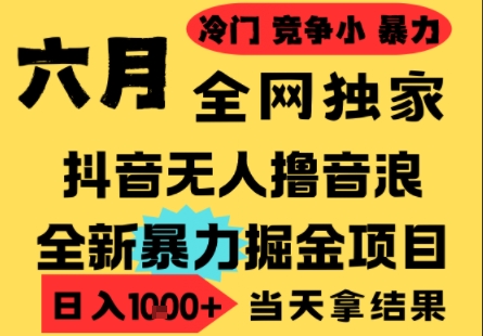 25年6月高爆抖音无人直播最新撸音浪掘金项目,小白可做,无脑日入1k+,门槛低可批量矩阵
