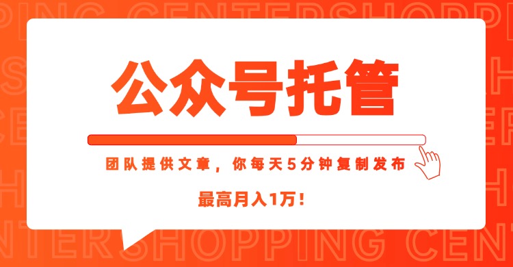 【公众号托管 】我提供文章,你每天5分钟复制发布,最高月入1W