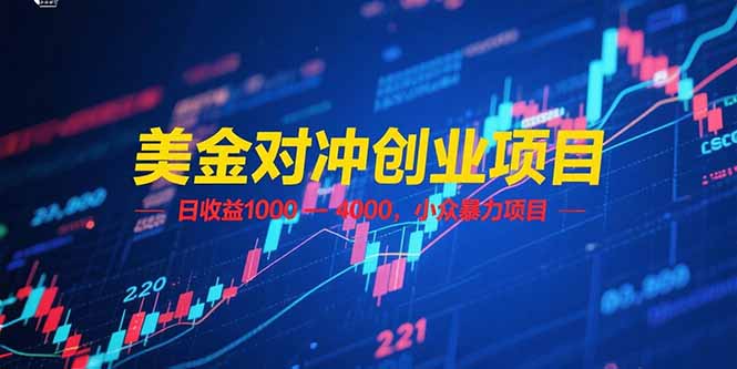 美金对冲创业项目，日收益 1000 – 4000，小众暴力项目