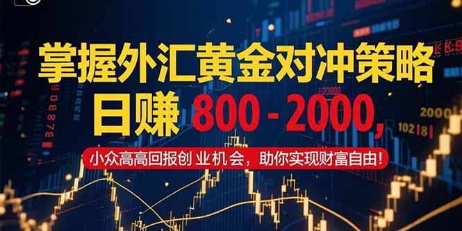 掌握外汇黄金对冲策略,日赚 800 – 2000,小众高回报创业机会,助你实…