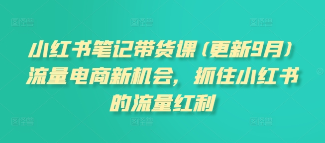小红书笔记带货课(更新25年6月)流量电商新机会,抓住小红书的流量红利