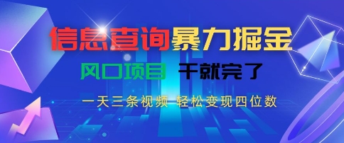 信息查询暴力掘金,一天三条视频,轻松变现四位数,风口项目干就完了