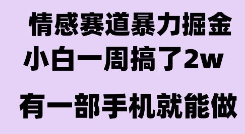情感暴力掘金项目,新人操作一周挣了2W,长期稳定小白可做