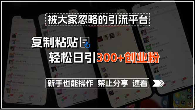 被大家忽略的引流平台,复制粘贴轻松日引300+创业粉,新手也能操作,禁…