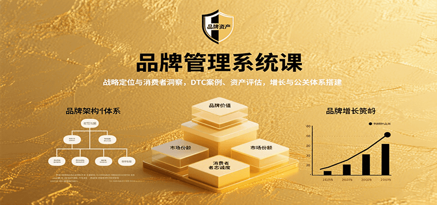 品牌管理系统课:战略定位与消费者洞察,DTC案例、资产评估,增长与公关体系搭建