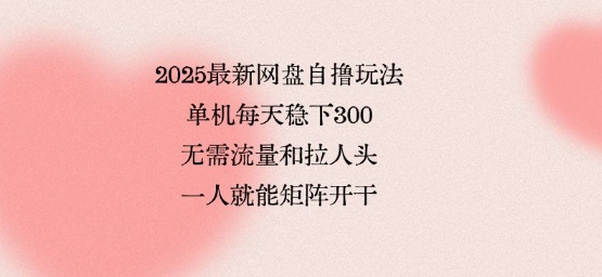 2025最新网盘自撸玩法,单机每天稳下3张,无需流量和拉人头,一个人就可轻松矩阵,全网独一份