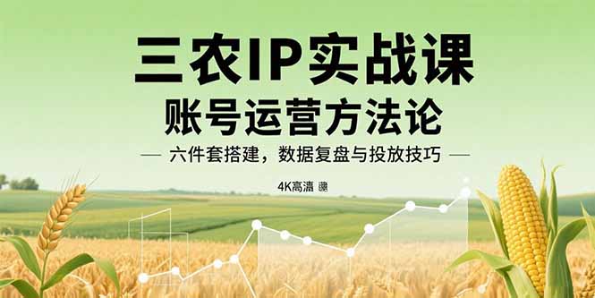 三农IP实战课:账号运营方法论,六件套搭建,数据复盘与投放技巧