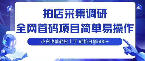 拍店采集调研,全网首码项目,简单易操作, 小白也能轻松上手,多账号操作,轻松日入5张